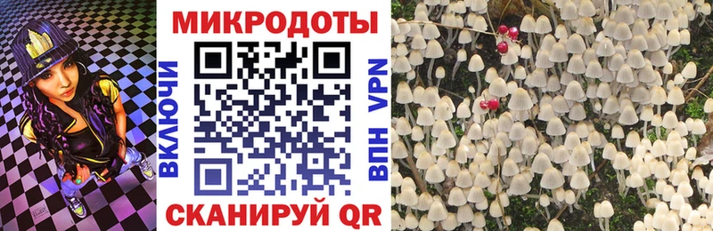Купить где  Костерёво  Псилоцибиновые грибы Magic Shrooms 